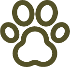 Pet-icon
